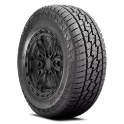 009555 Delinte DX10 Bandit A/T LT225/75R16 E/10PLY BSW Tires
