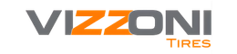 Vizzoni Logo